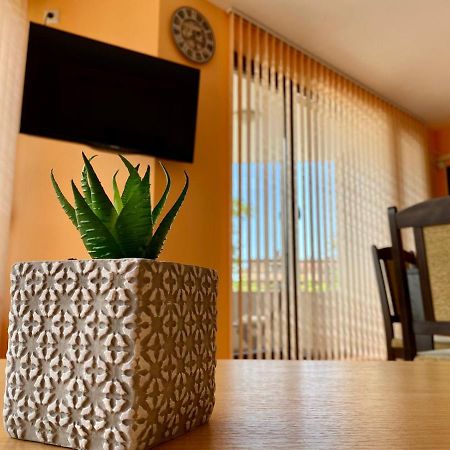 Cozy Apartment In The Center Of Primorsko Ngoại thất bức ảnh